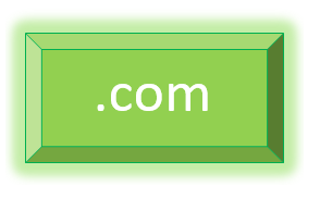 .com Domain per year